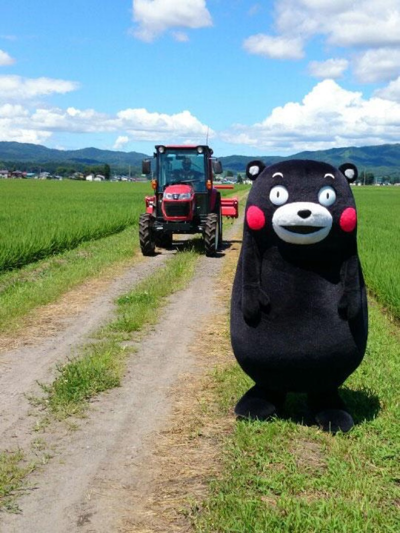 Illustration for article titled In Japan, There's a Superhero Who...Plants Rice